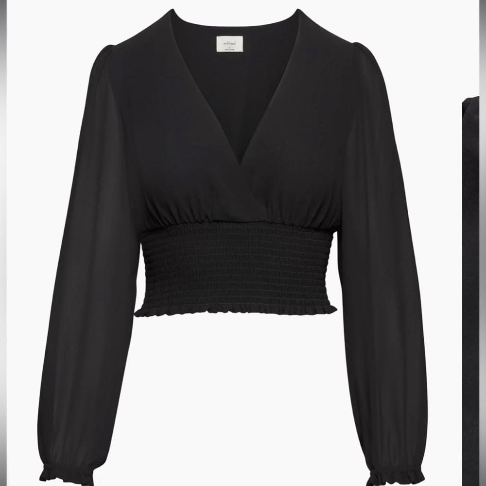 Aritzia Wilfred Wistful Blouse - perfect condition long sleeve cropped blouse
